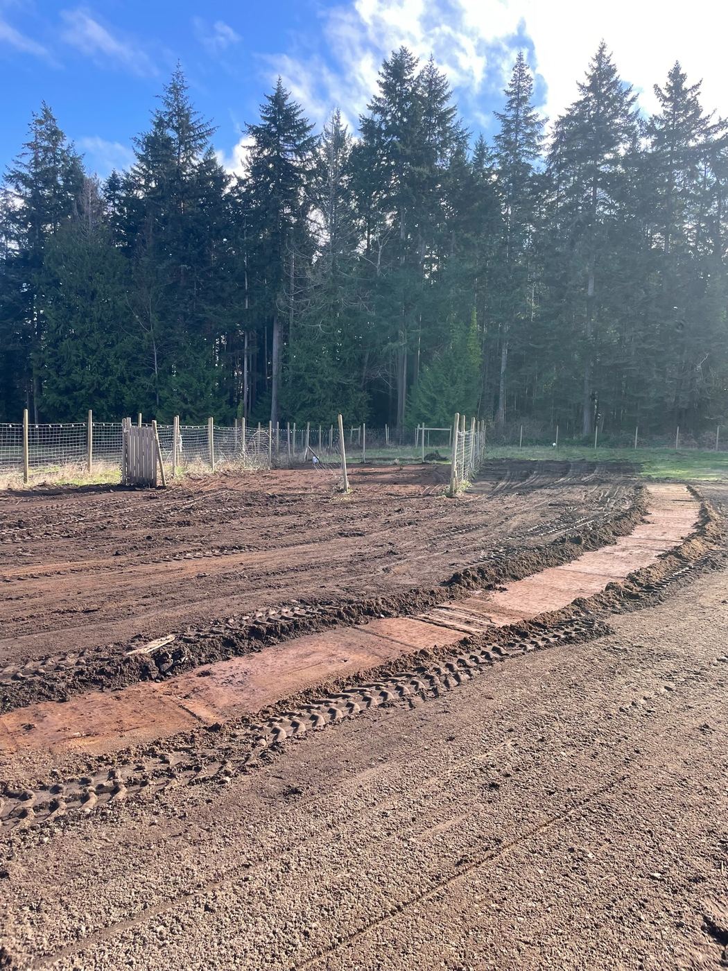 Cleared ground with new fencing and a gate, tall firs behind