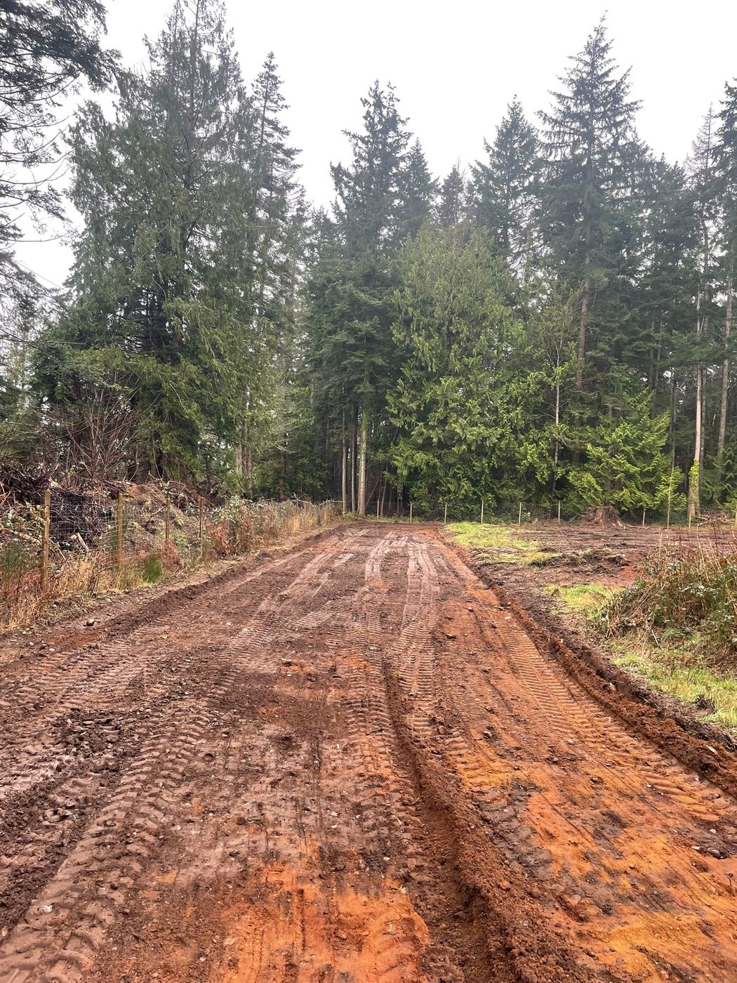 A newly cut dirt farm road running back toward standing timber
